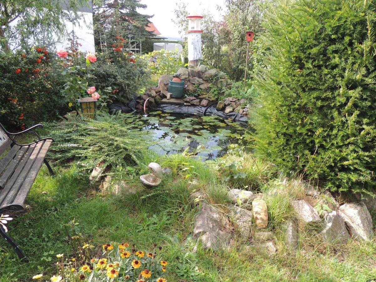 Ferienwohnung Am Hausberg In Radebeul Exteriér fotografie